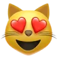 😻